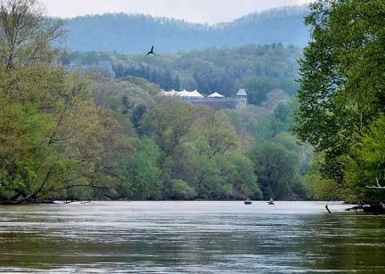 French Broad River Park photo 1